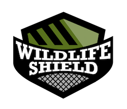 squirrel-removal-pickering